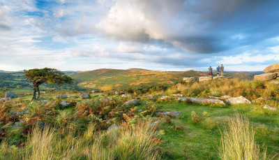 dartmoor