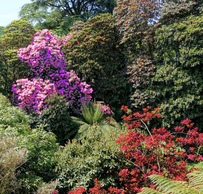lost_gardens_heligan__original