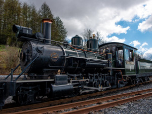 Brecon mountain railway