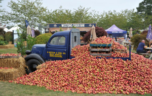 Malvern_Autumn_Show_250921_122-scaled-1