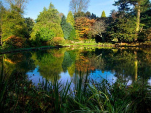 marwood_hill_gardens_2_1570985650
